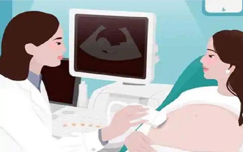 试管花瓶洋桔梗代生