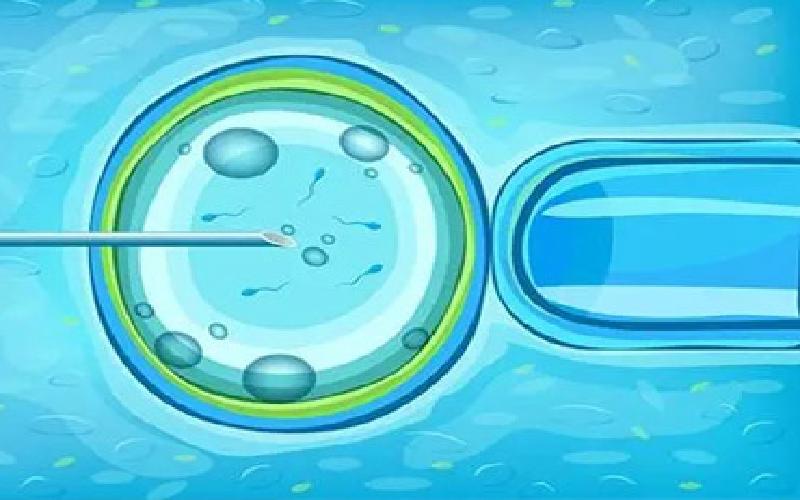 试管压强左右相等代生